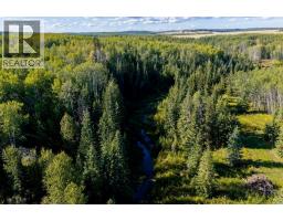 Furnace - 76272 Range Road 75, Rural Saddle Hills County, AB T0H2J0 Photo 12