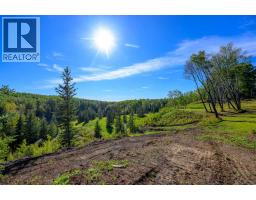 76272 Range Road 75, Rural Saddle Hills County, AB T0H2J0 Photo 35