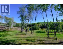 76272 Range Road 75, Rural Saddle Hills County, AB T0H2J0 Photo 47