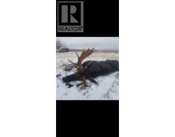 76272 Range Road 75, Rural Saddle Hills County, AB T0H2J0 Photo 43