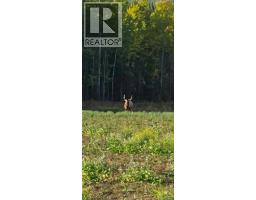 76272 Range Road 75, Rural Saddle Hills County, AB T0H2J0 Photo 41