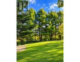 5536 Line 5 Road N, Oro Medonte, ON L4R4K3 Photo 13