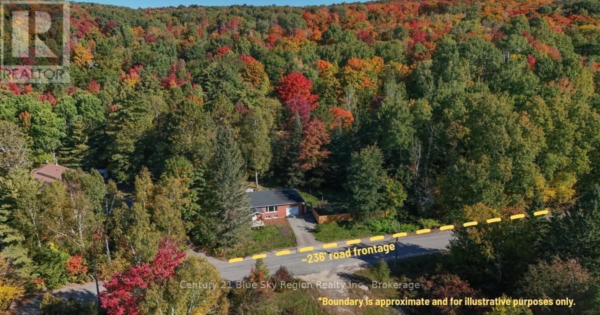 20 WILMOT STREET - Image 5