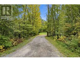 1146 Aberdeen Road, Champlain, ON K0B1R0 Photo 34