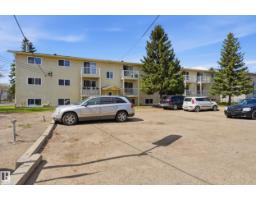 #305 10811 115 St Nw, Edmonton, AB T5H3L2 Photo 32