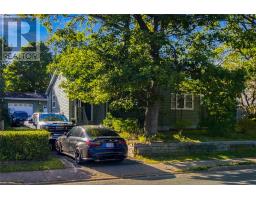59 Carpasian Road thumbnail 2