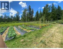 27 Pine Road, Cherryville, BC V0E2G3 Photo 74
