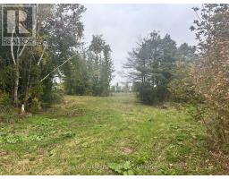 381 Regional Rd 21 Road, Scugog, ON L9L1B5 Photo 8