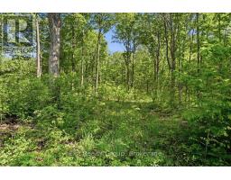 75 Spry Road, Stirling Rawdon, ON K0K3E0 Photo 10