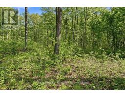 75 Spry Road, Stirling Rawdon, ON K0K3E0 Photo 11