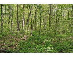 75 Spry Road, Stirling Rawdon, ON K0K3E0 Photo 12