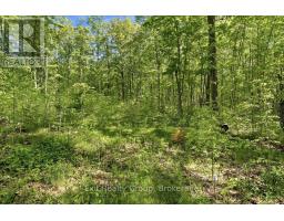 75 Spry Road, Stirling Rawdon, ON K0K3E0 Photo 13