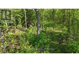 75 Spry Road, Stirling Rawdon, ON K0K3E0 Photo 6