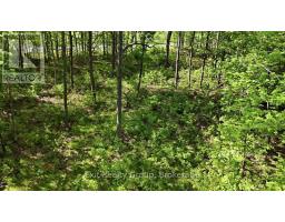 75 Spry Road, Stirling Rawdon, ON K0K3E0 Photo 7