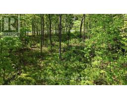 75 Spry Road, Stirling Rawdon, ON K0K3E0 Photo 8