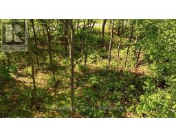 75 Spry Road, Stirling Rawdon, ON K0K3E0 Photo 9
