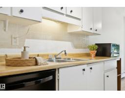#305 10829 117 St Nw, Edmonton, AB T5H3N4 Photo 16