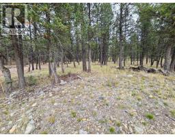 120 Shadow Mountain Boulevard, Cranbrook, BC V1C7C3 Photo 7