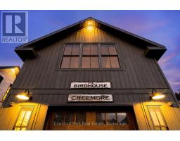 21 Elizabeth Street E, Clearview, ON L0M1G0 Photo 44