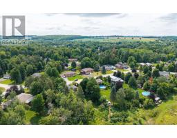 54 Moore Avenue E, Adjala Tosorontio, ON L0M1J0 Photo 40