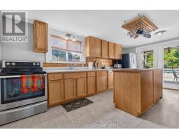 118 Inkerman Street, St  Thomas, ON N5P3G6 Photo 17