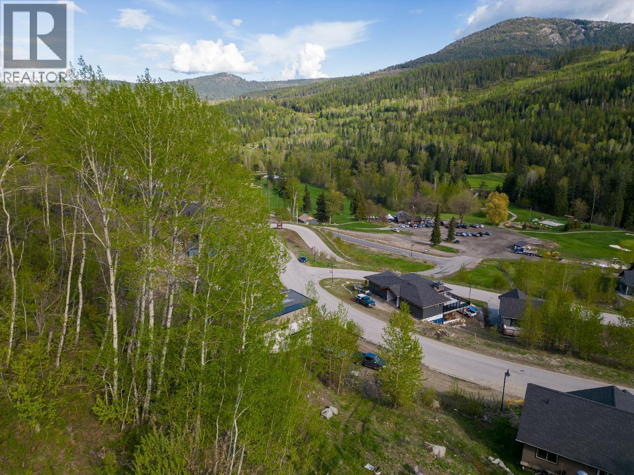1021 SILVERTIP Road, Rossland - Image 1