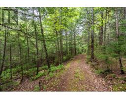 7466 201 Highway, South Williamston, NS B0S1M0 Photo 47