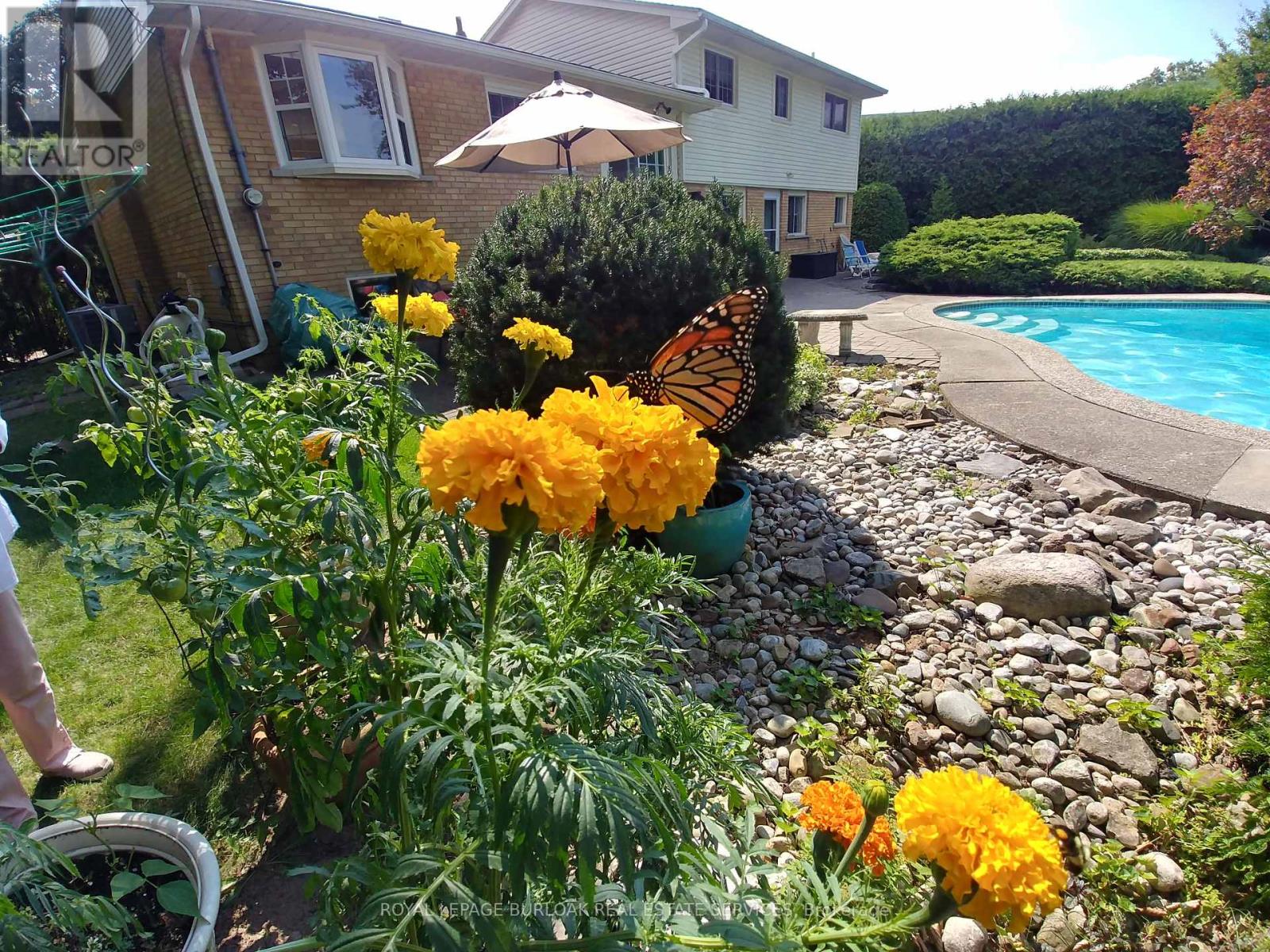 247 WALDEN DRIVE - Image 28