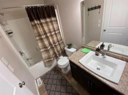 291 El Tassi Drive, Winnipeg, MB R3W1P6 Photo 7