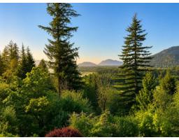 1459 Highlands Boulevard, Mt Woodside, Agassiz, BC V0M1A1 Photo 20