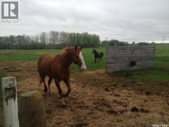 Misty Lane Acreage - Image 61