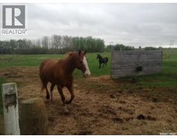 Misty Lane Acreage, Orkney Rm No  244, SK S3N4C6 Photo 61