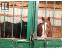 Misty Lane Acreage, Orkney Rm No  244, SK S3N4C6 Photo 60
