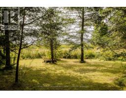 1944 4th Concession Road W, Hamilton, ON L0R2B0 Photo 32