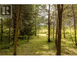 1944 4th Concession Road W, Hamilton, ON L0R2B0 Photo 33