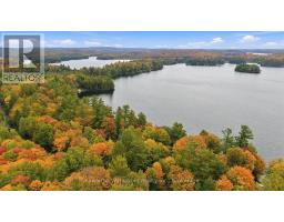 1628 Lewis Road, Highlands East, ON K0L1C0 Photo 49