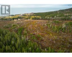 Lot 10 Creignish Mountain Road, Creignish, NS B9A1B6 Photo 13