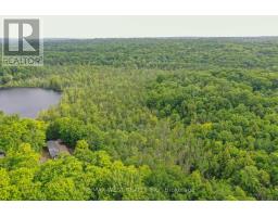1160 Butterfly Road, Muskoka Lakes, ON P0B1J0 Photo 16