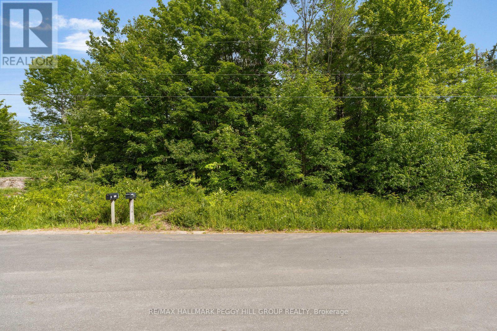 00 GERMANIA ROAD, Bracebridge (Draper) — photo 3