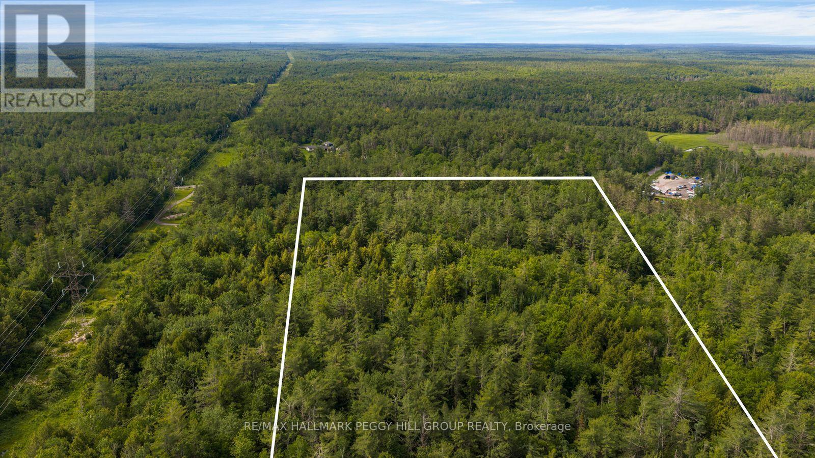 00 GERMANIA ROAD, Bracebridge (Draper) — photo 4