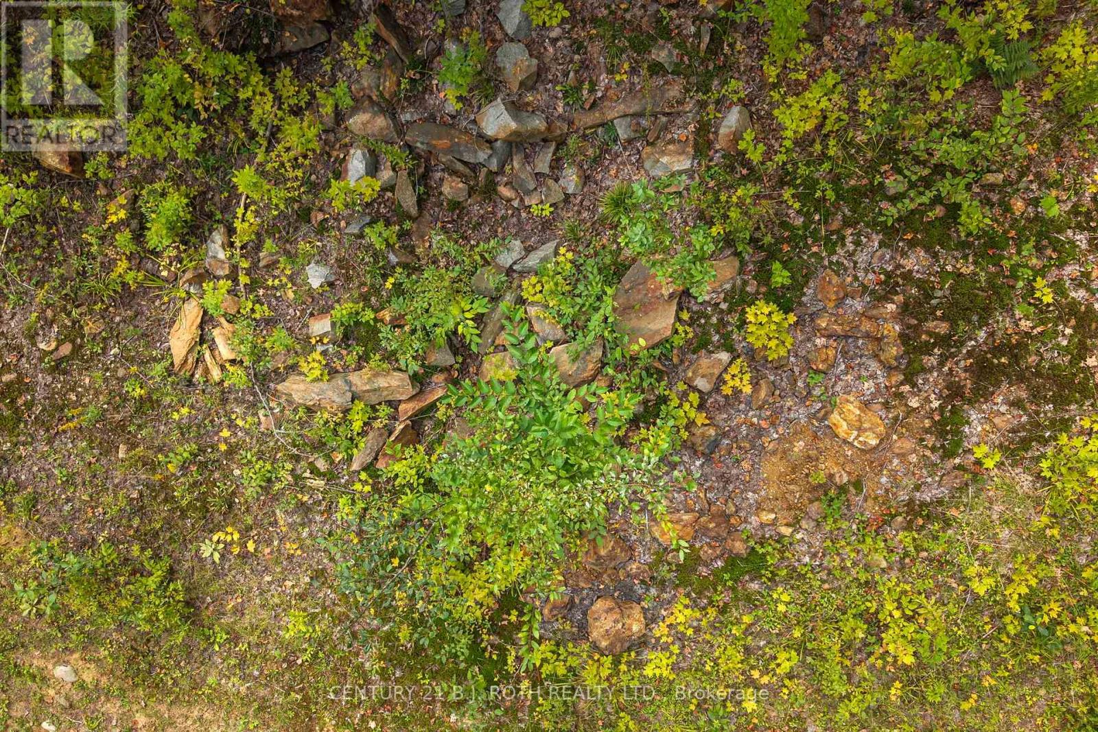 PT 23 & 24 4 CONCESSION, Dysart et al (Dysart) — photo 11