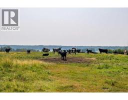 261126 Range Road 33, Rural Rocky View County, AB T4C0G6 Photo 37