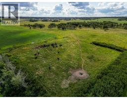 Recreational, Games room - 261126 Range Road 33, Rural Rocky View County, AB T4C0G6 Photo 6