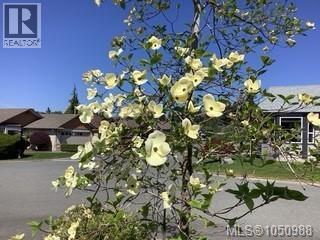 3978 Merlin St - Image 31