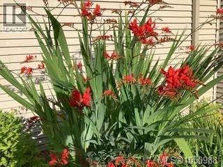 3978 Merlin St - 34