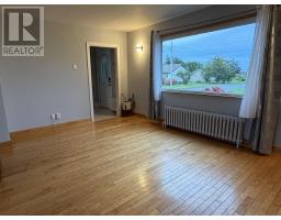 14 Rosewood Avenue, Glace Bay, NS B1A2Y3 Photo 13