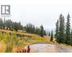 9885 Pinnacles Road Unit# 102, Silver Star, BC V1B3M1 Photo 31