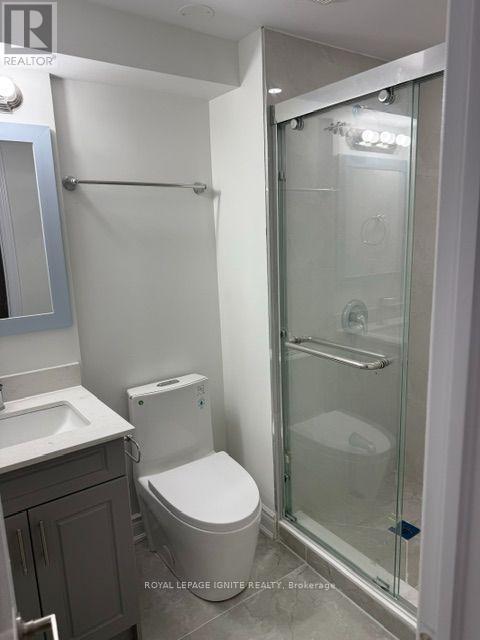 BSMT 2 - 38 PATINA DRIVE, Toronto (Hillcrest Village) — photo 4