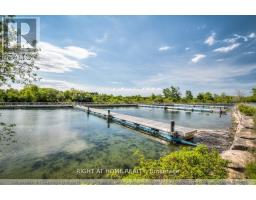 540 - 30 Shore Breeze Drive, Toronto, ON M8V0J1 Photo 14