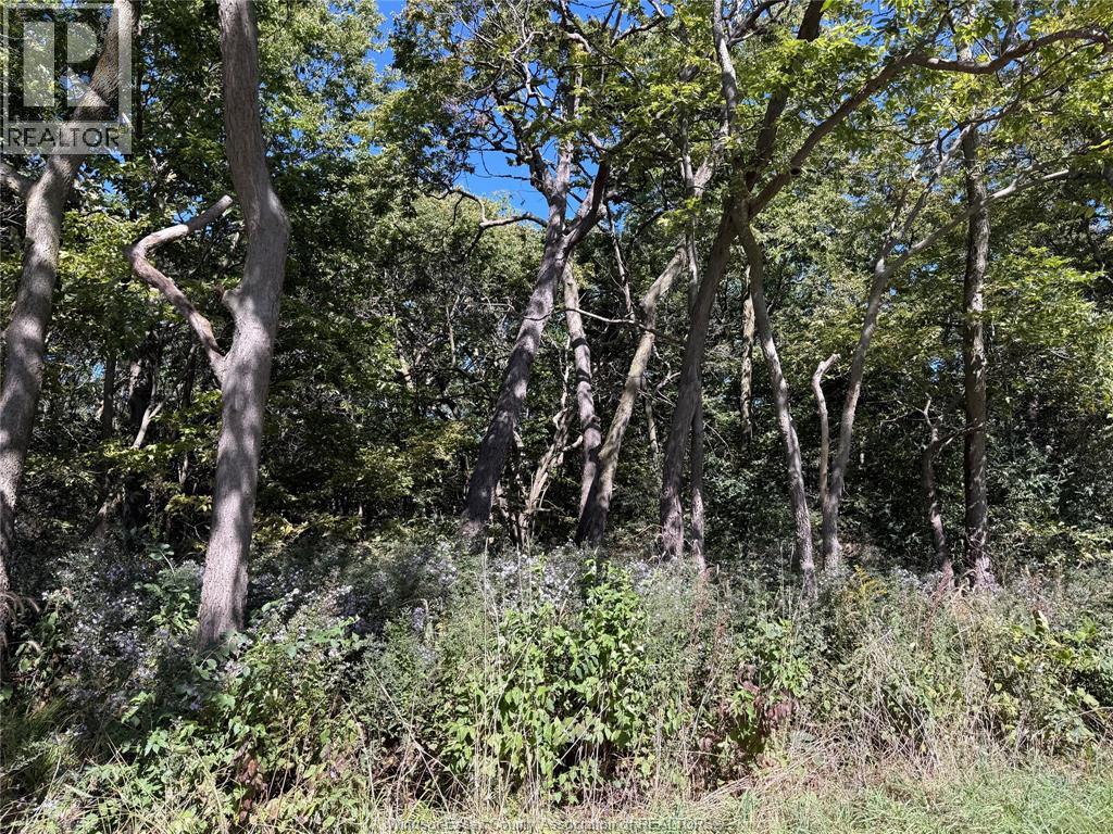 537 South Shore, Pelee Island — photo 8